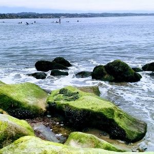 Meet your Posher, Gretchen